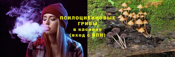 mix Козельск