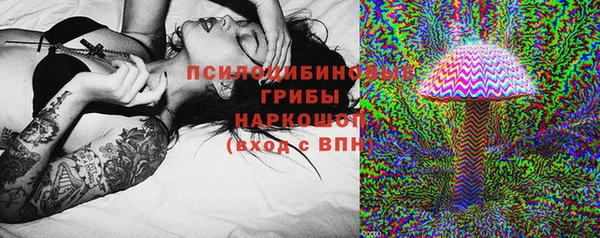 mix Козельск