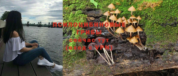 mix Козельск